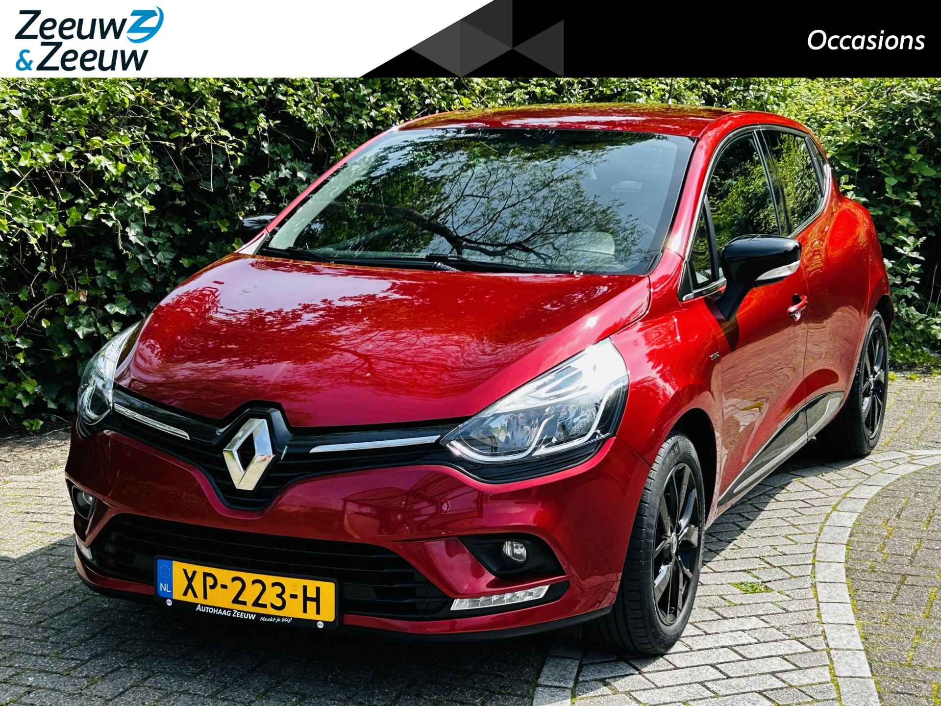 Renault Clio BOVAG 40-Puntencheck