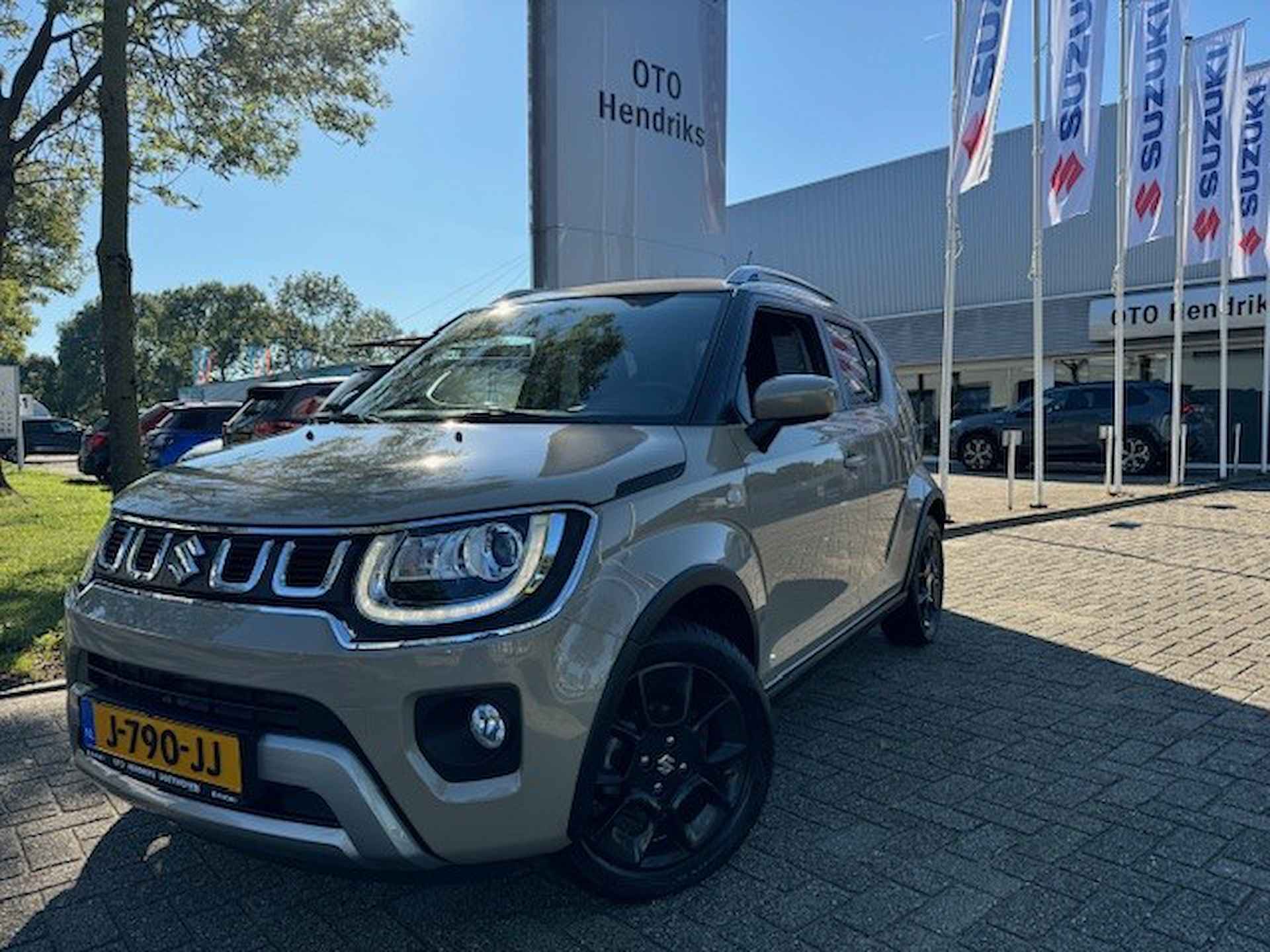 Suzuki Ignis BOVAG 40-Puntencheck