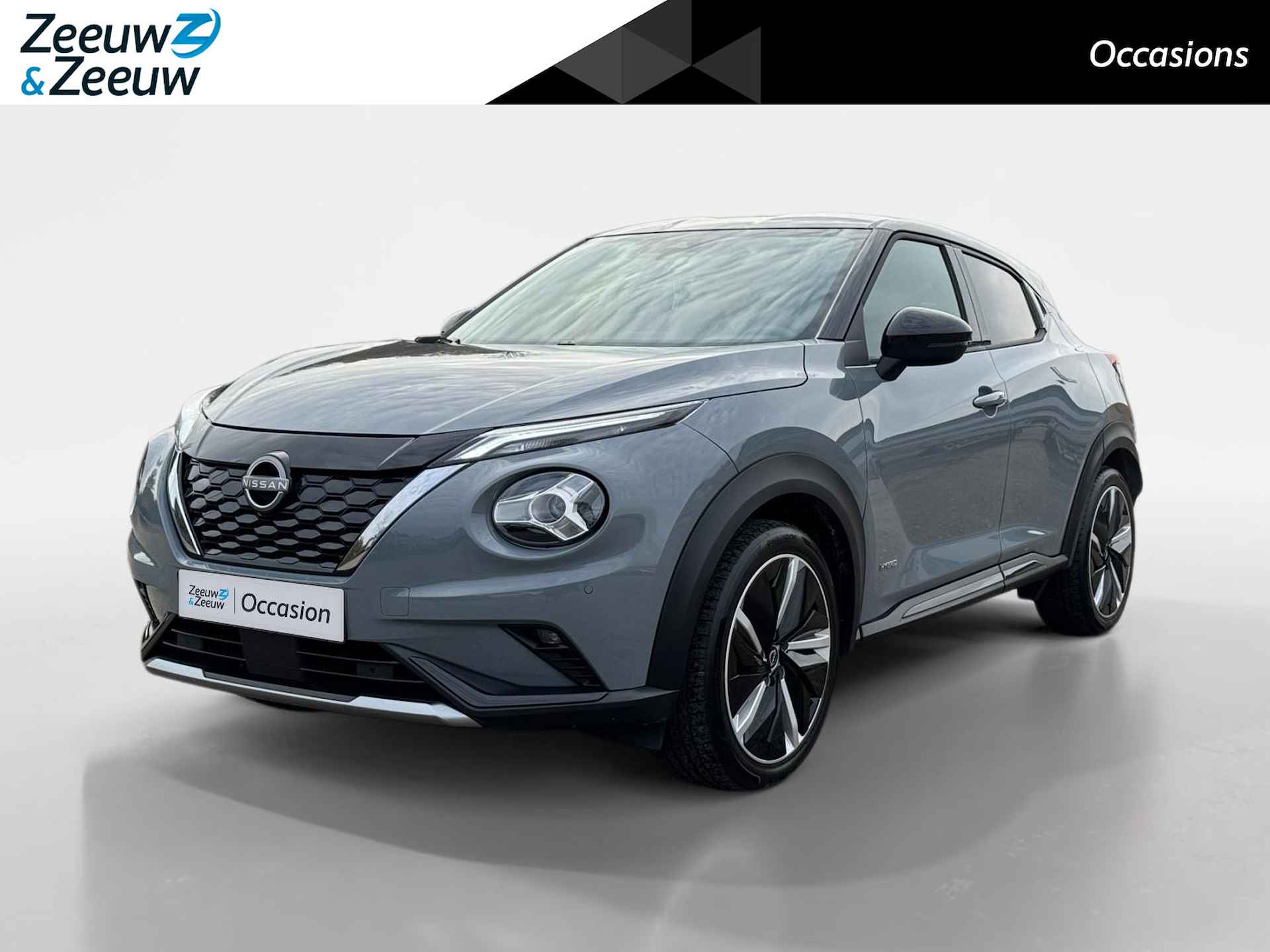 Nissan Juke BOVAG 40-Puntencheck