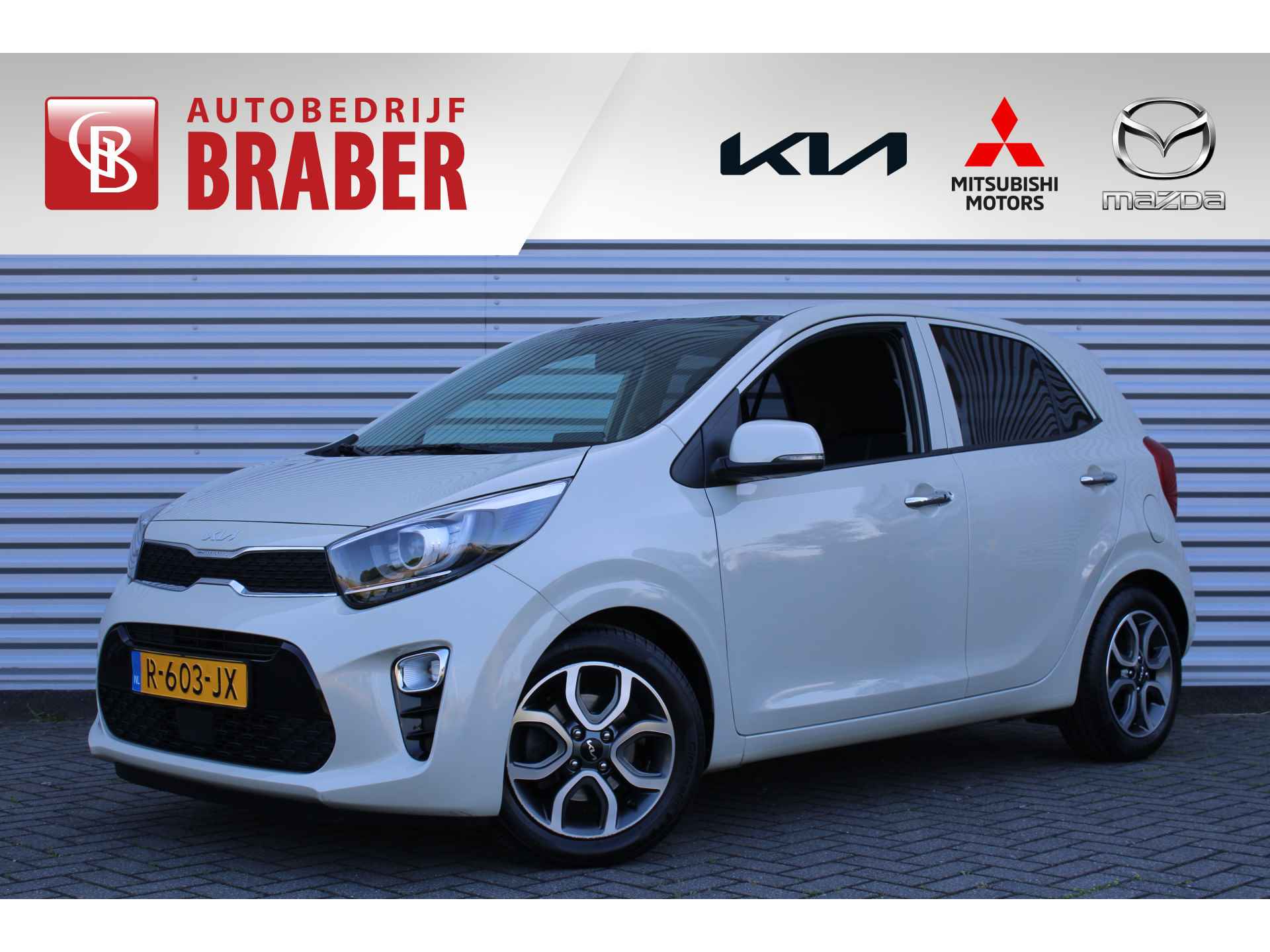 Kia Picanto BOVAG 40-Puntencheck