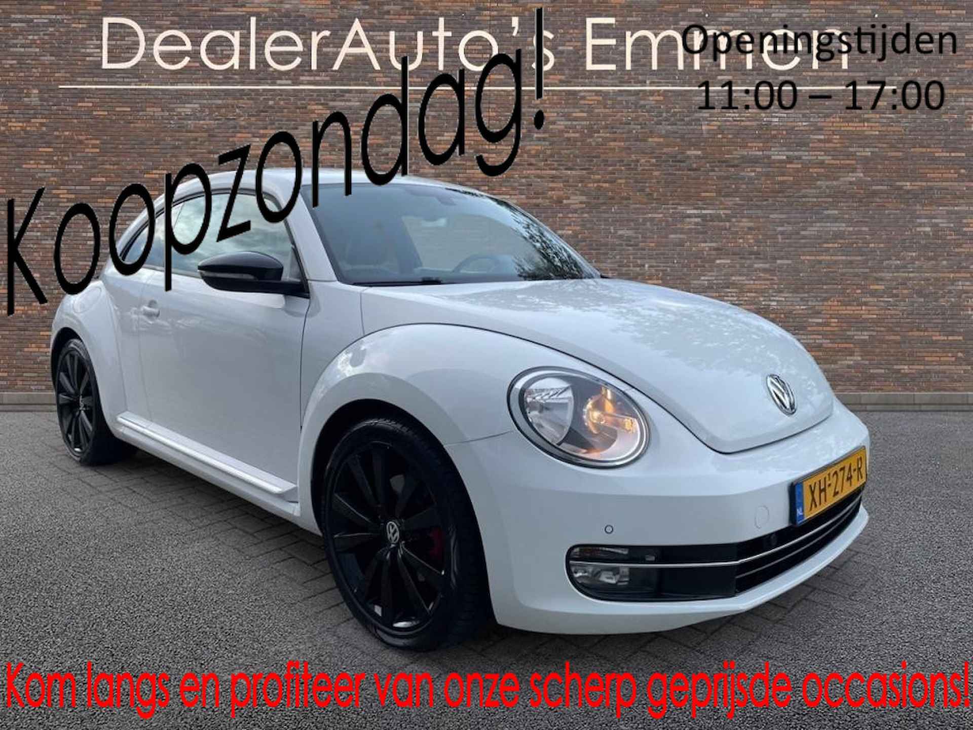 Volkswagen Beetle BOVAG 40-Puntencheck