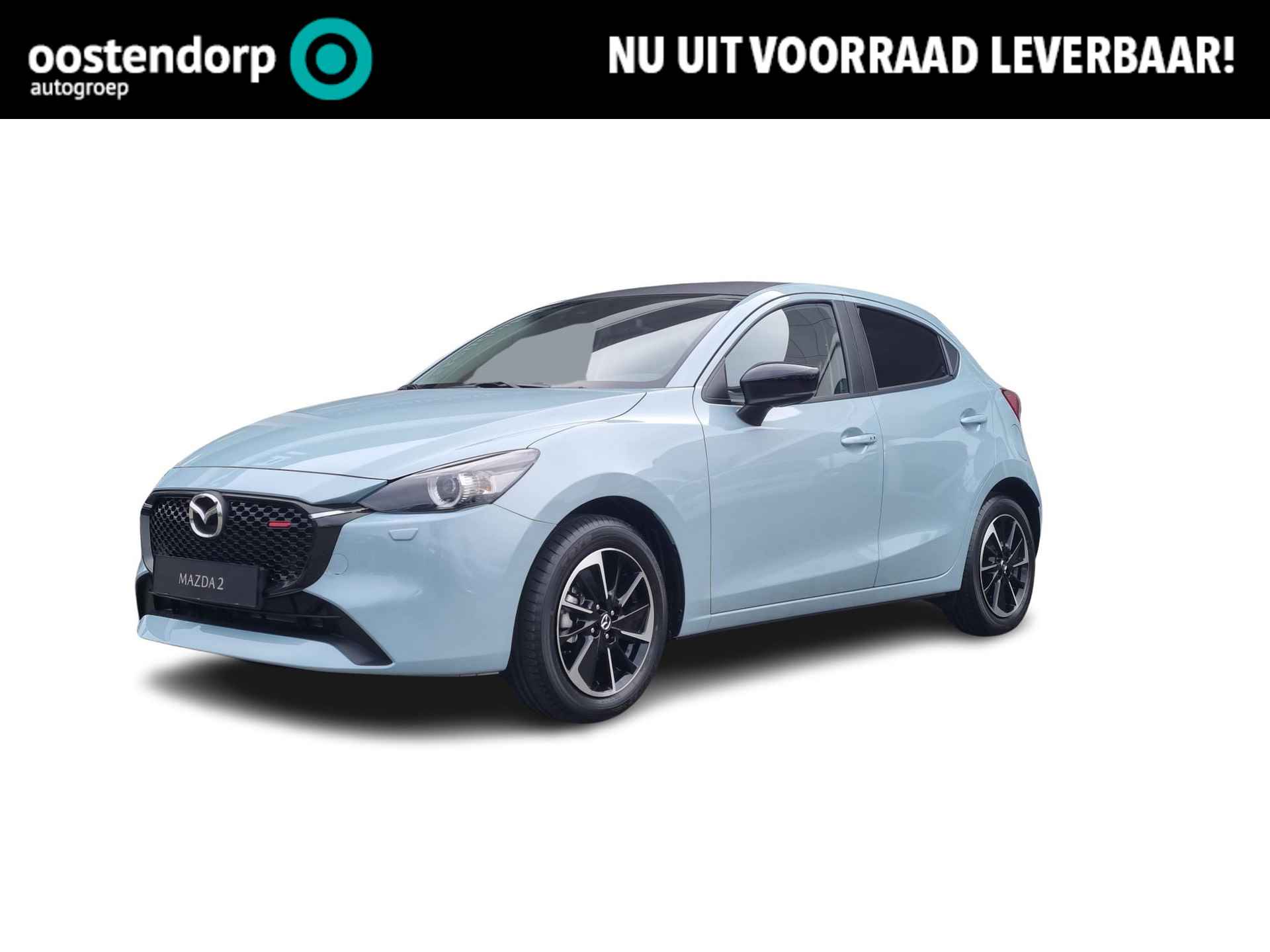 Mazda 2 BOVAG 40-Puntencheck