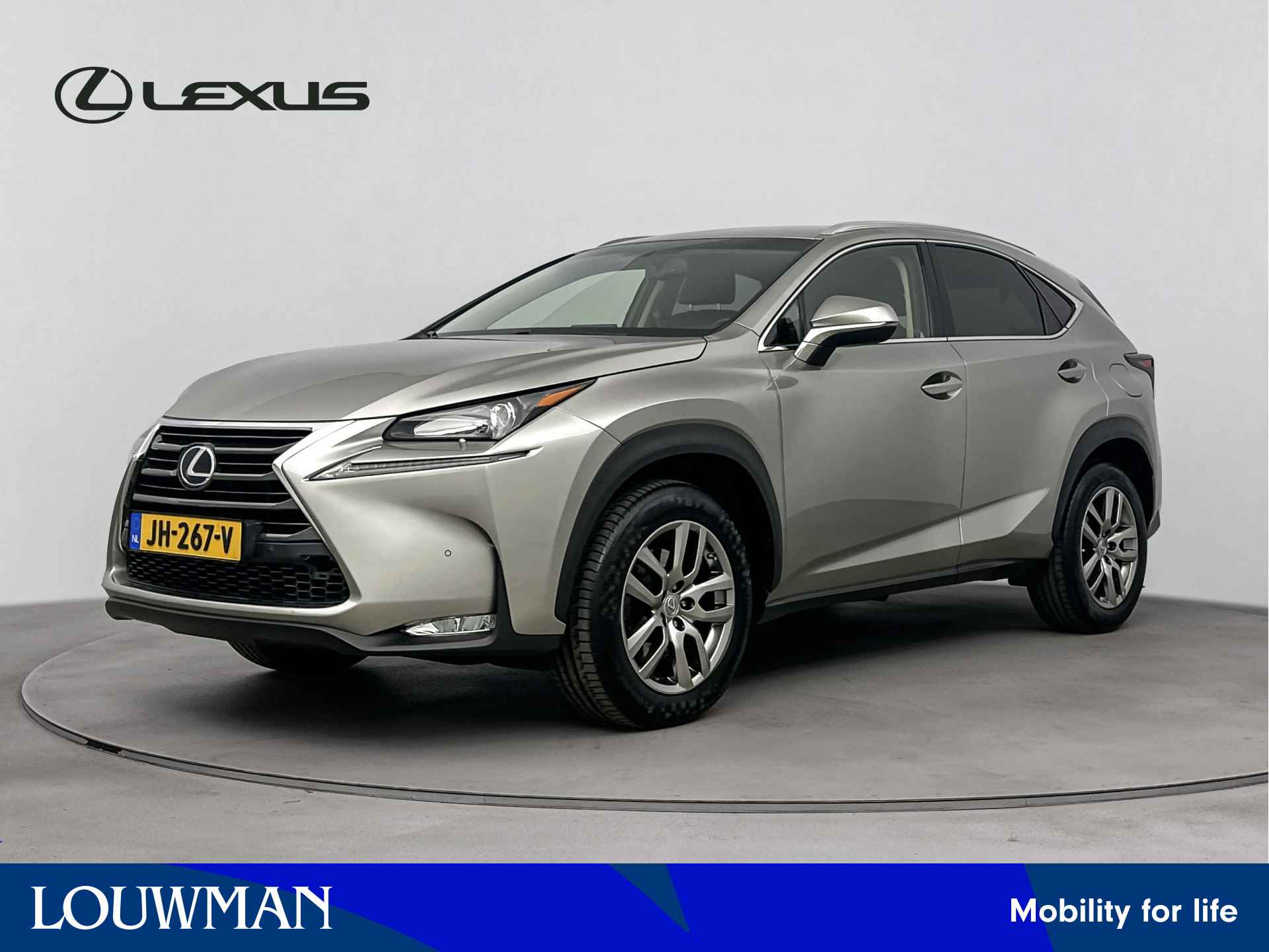 Lexus NX BOVAG 40-Puntencheck