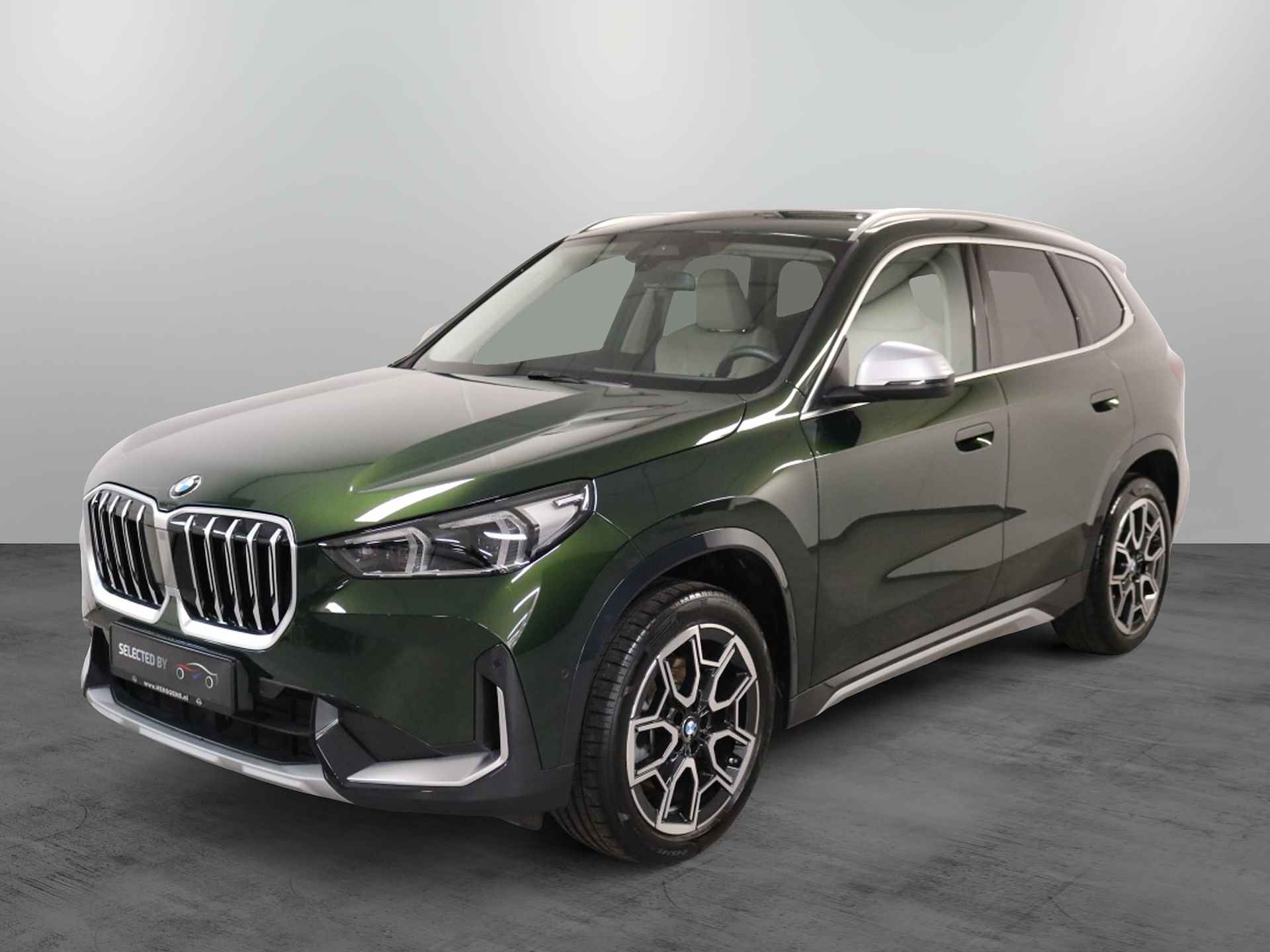 BMW X1 BOVAG 40-Puntencheck