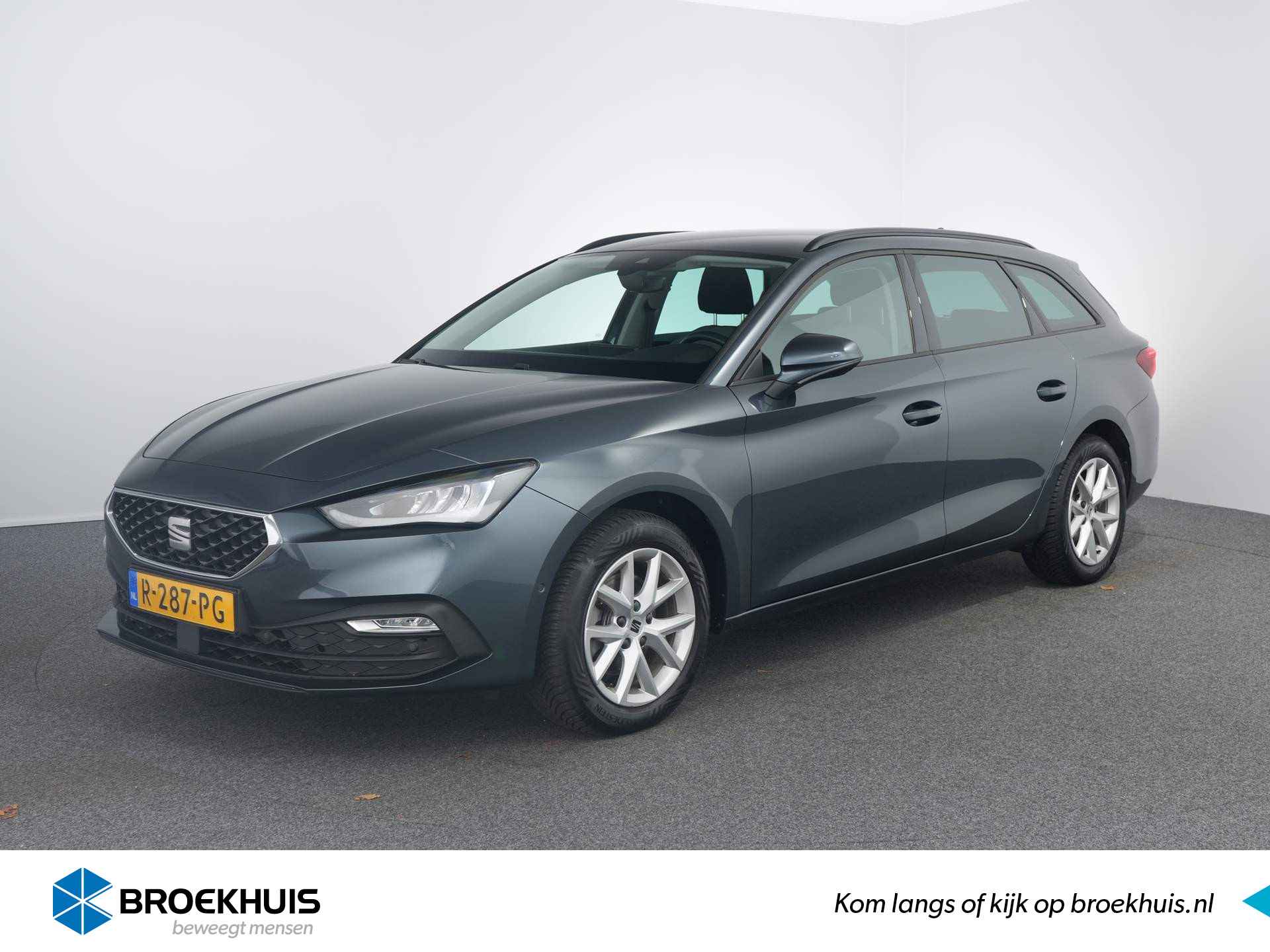 Seat Leon BOVAG 40-Puntencheck