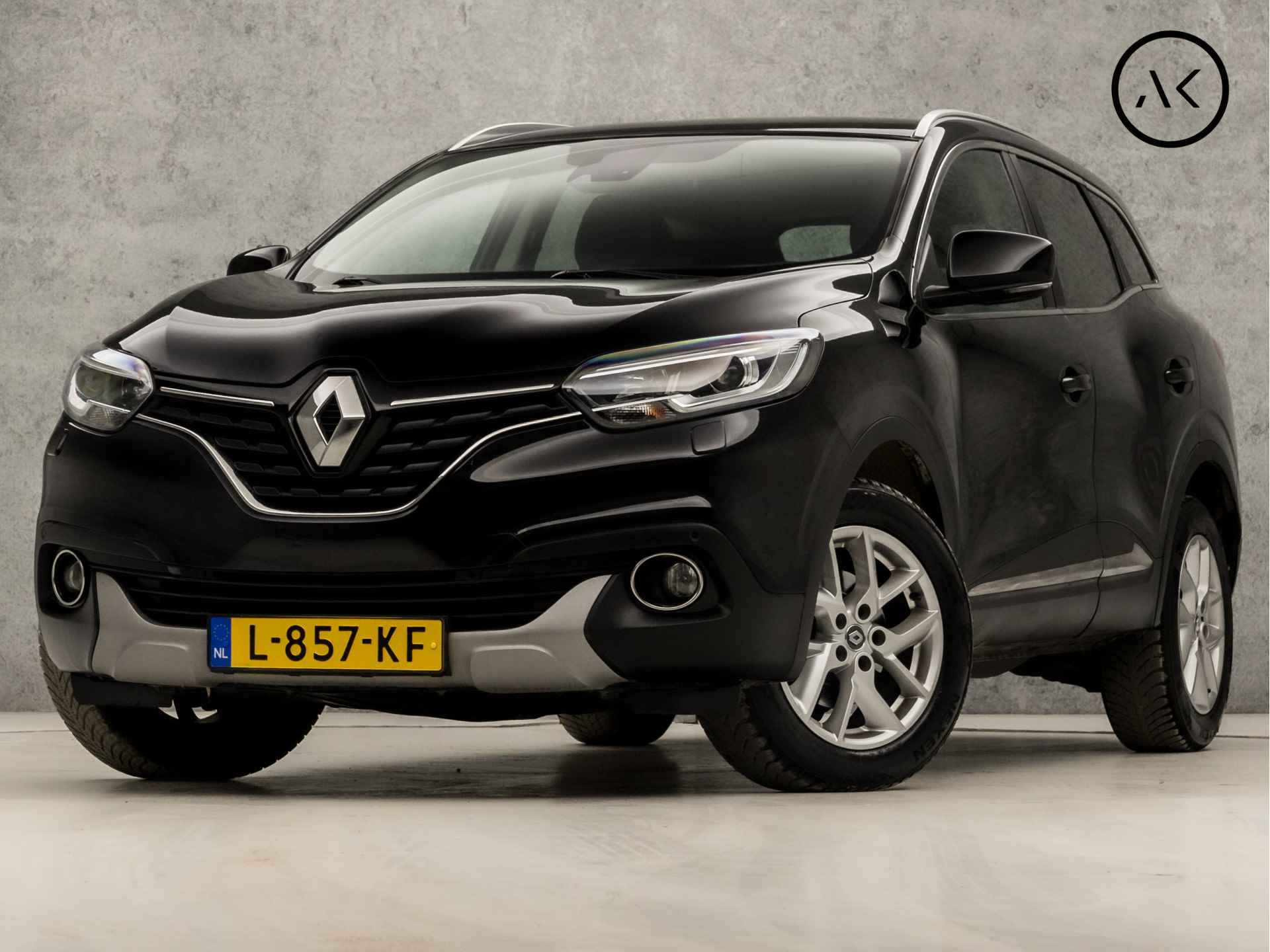 Renault Kadjar BOVAG 40-Puntencheck