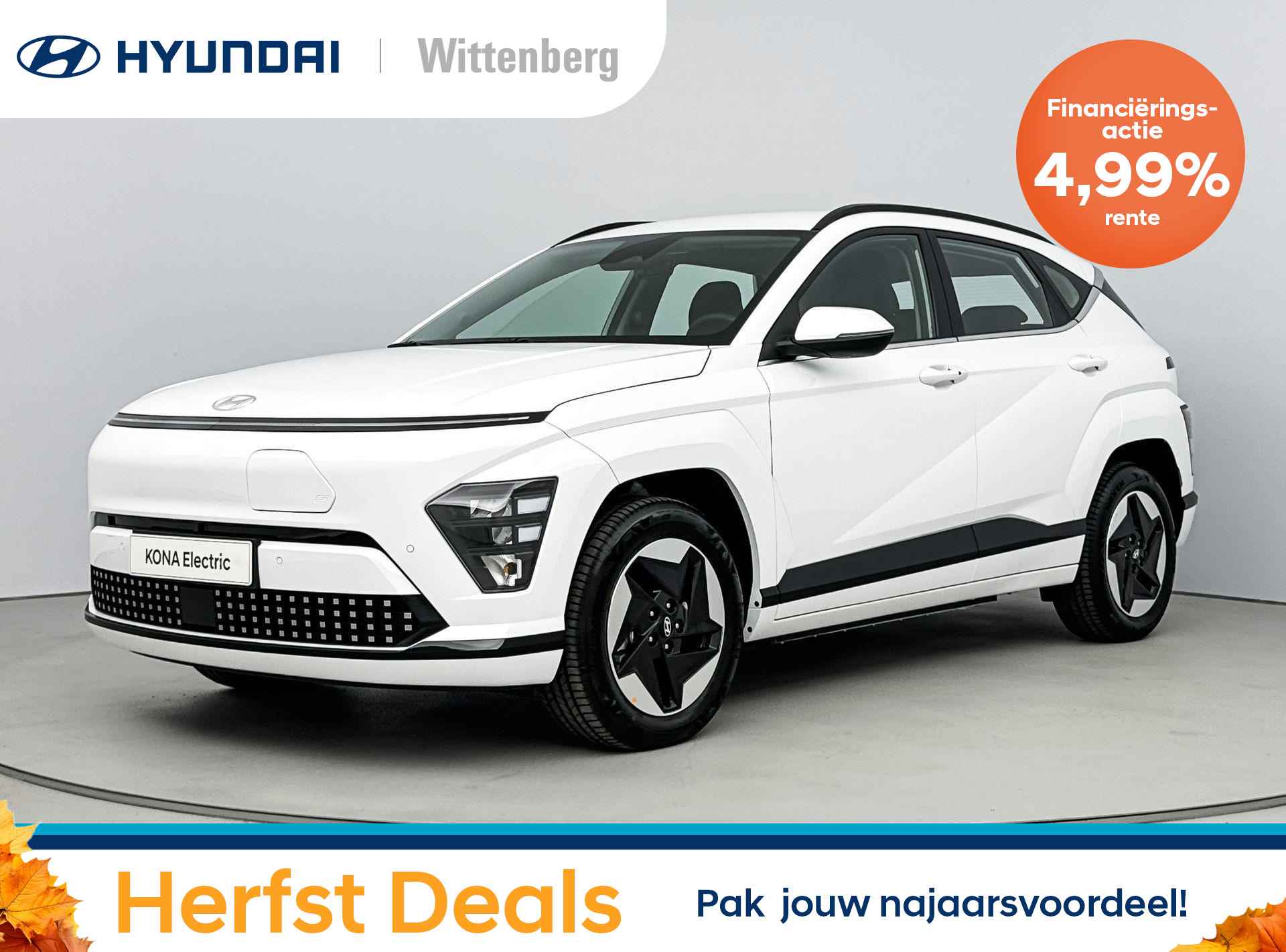 Hyundai Kona BOVAG 40-Puntencheck