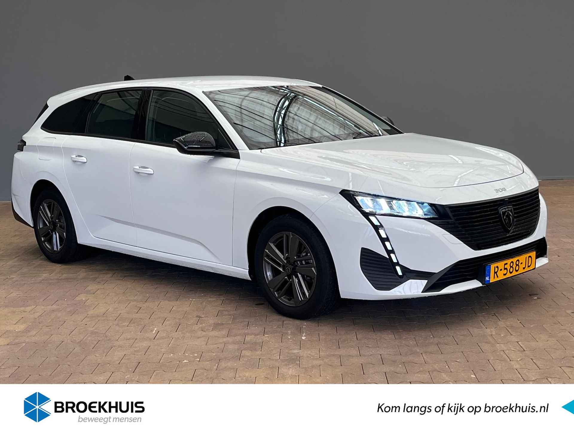 Peugeot 308 BOVAG 40-Puntencheck