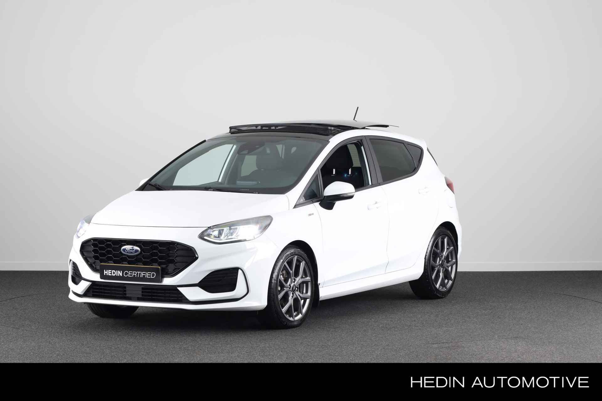 Ford Fiesta BOVAG 40-Puntencheck