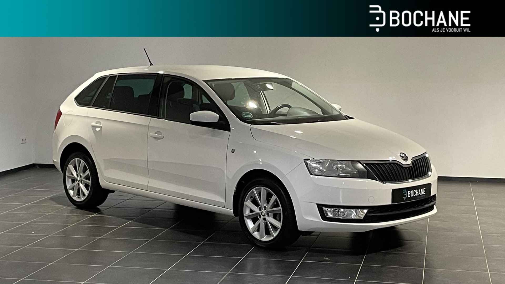 Škoda Rapid BOVAG 40-Puntencheck