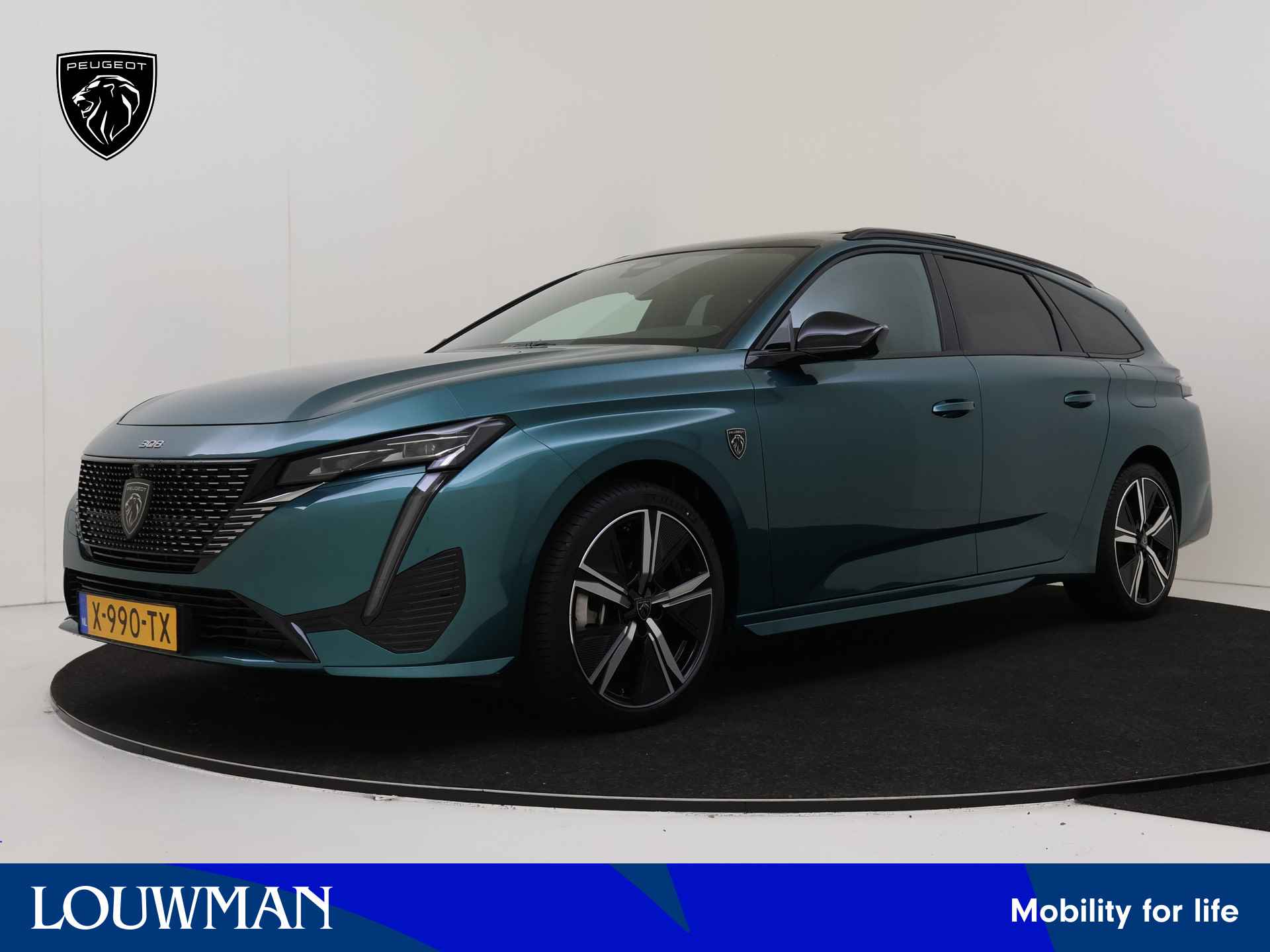 Peugeot 308 BOVAG 40-Puntencheck