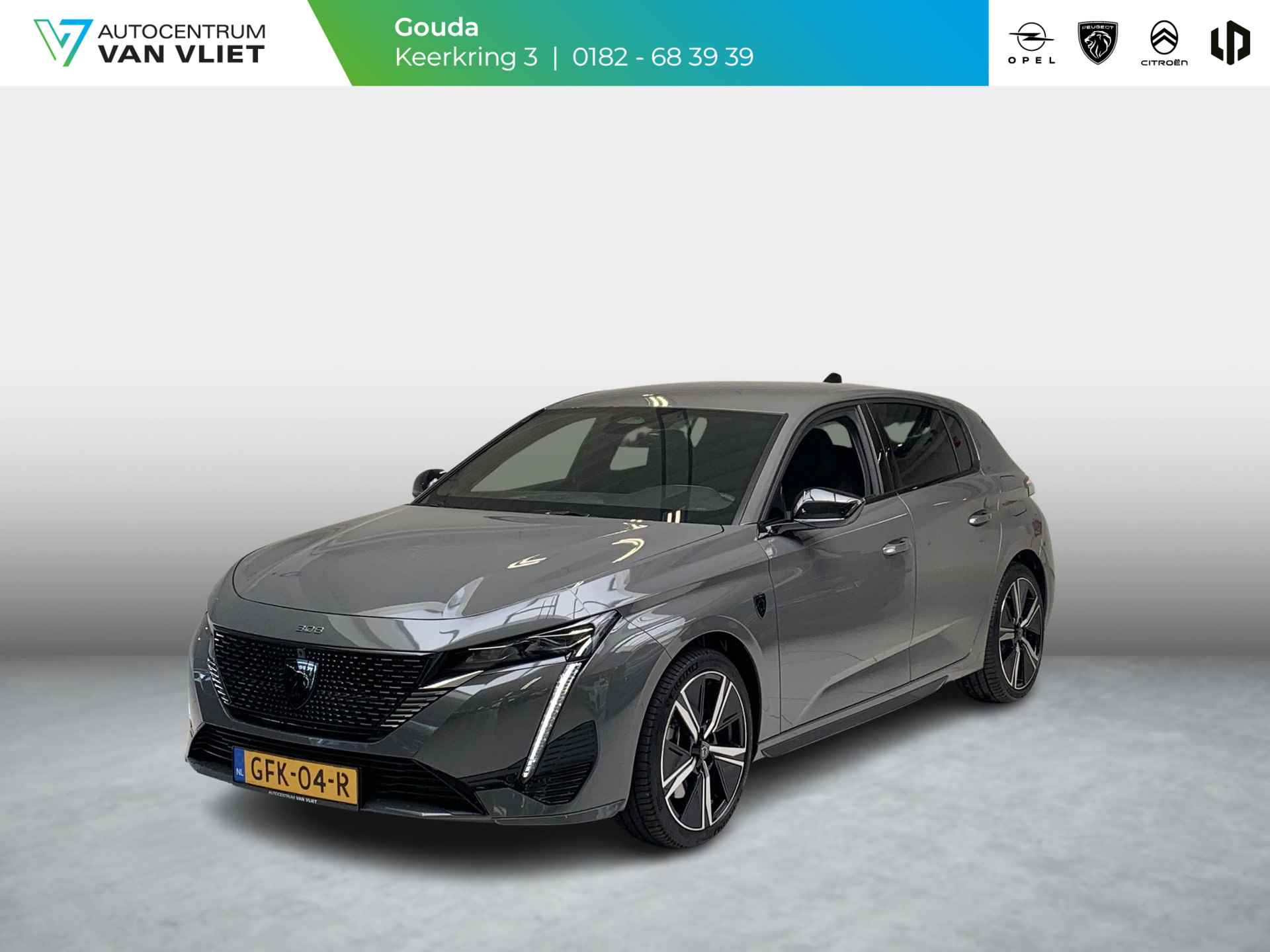 Peugeot 308 BOVAG 40-Puntencheck