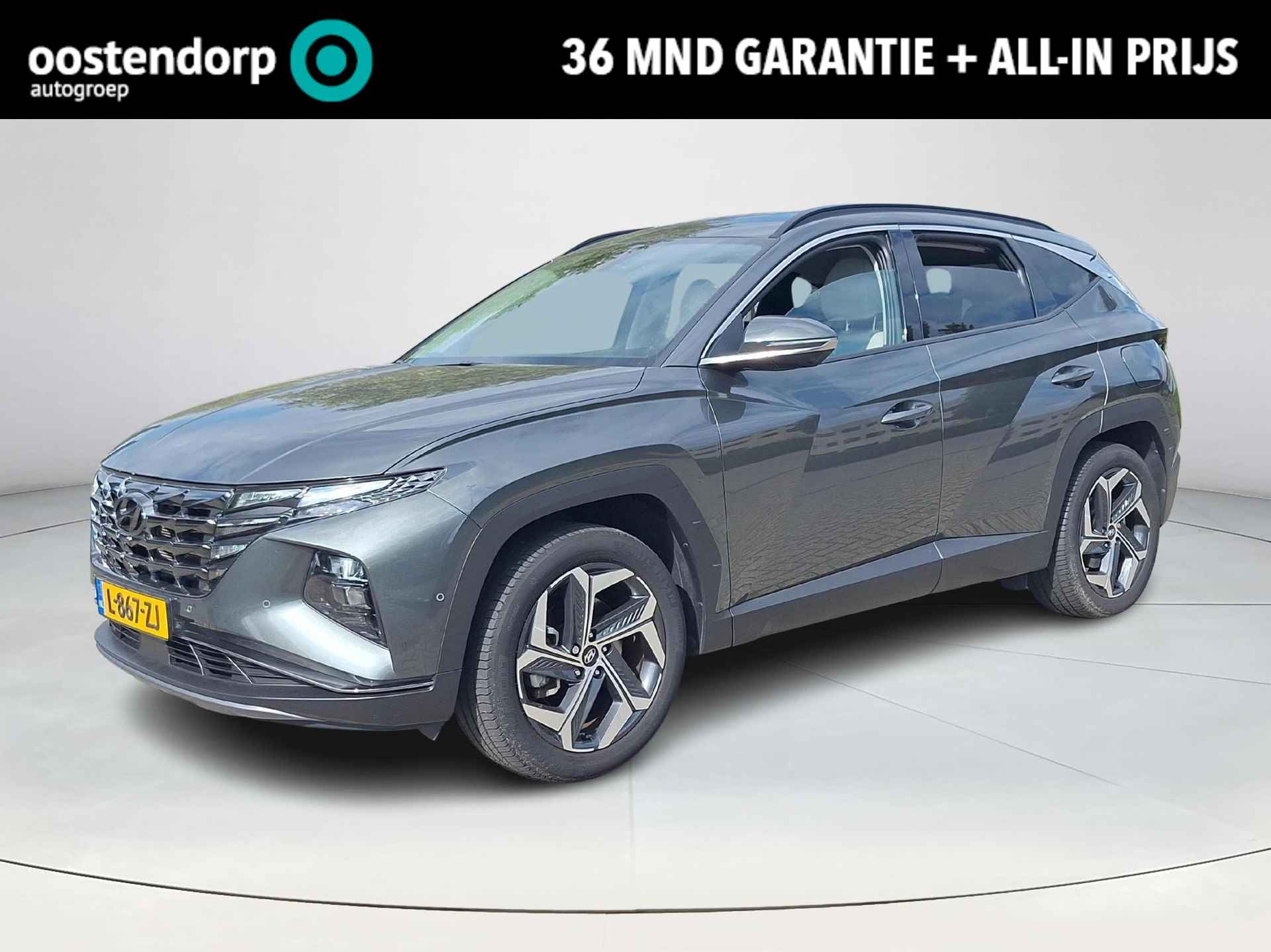 Hyundai Tucson BOVAG 40-Puntencheck