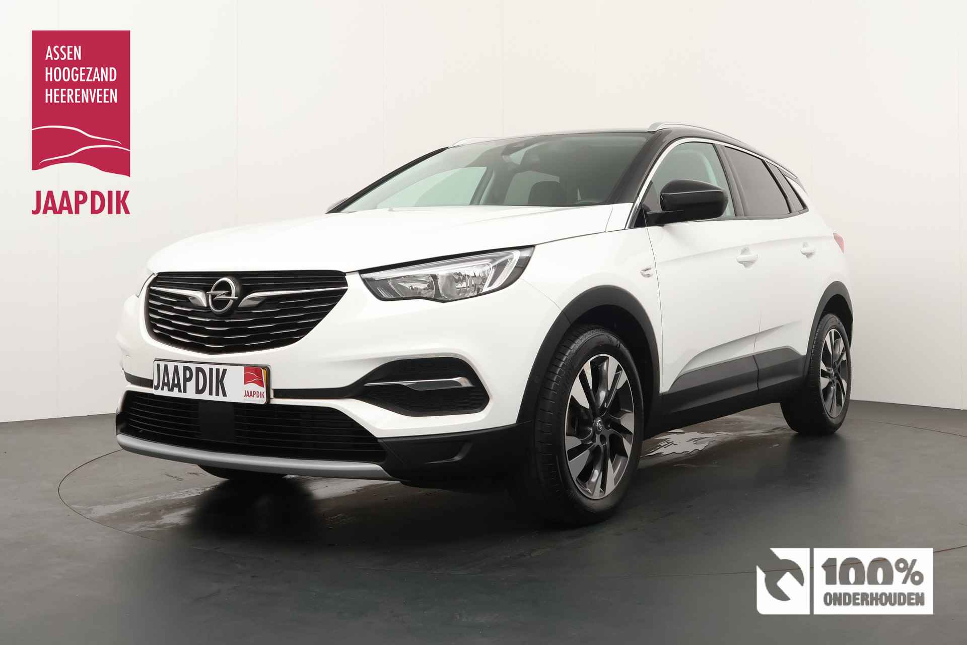 Opel Grandland X BOVAG 40-Puntencheck