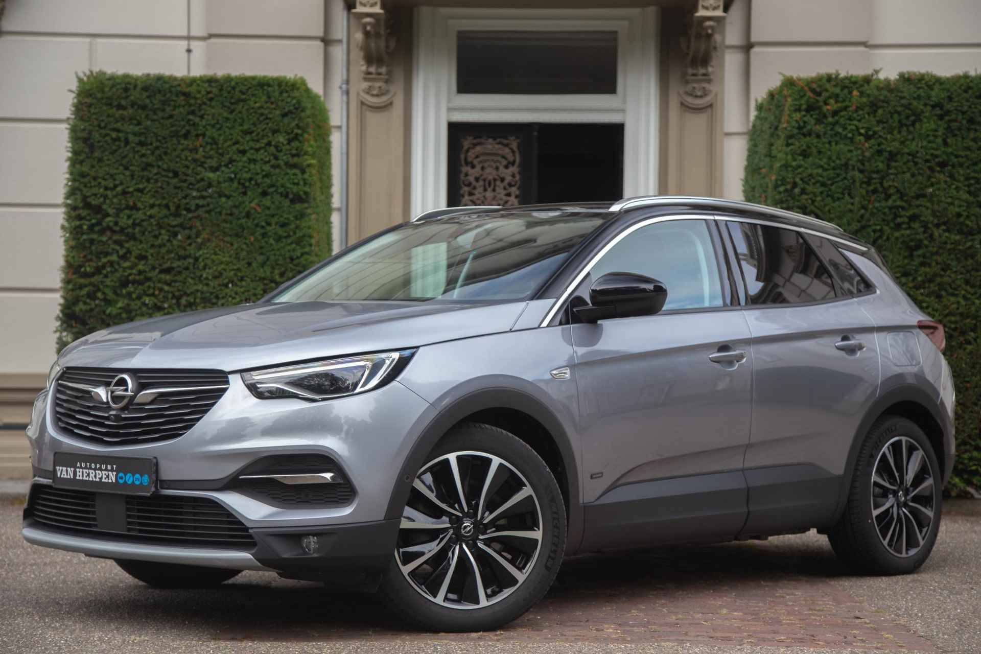 Opel Grandland X BOVAG 40-Puntencheck