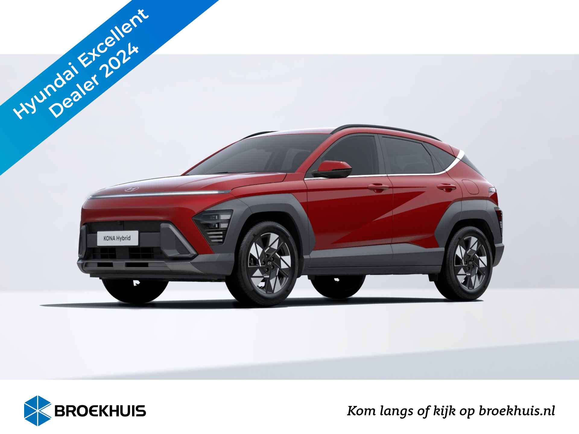 Hyundai Kona BOVAG 40-Puntencheck