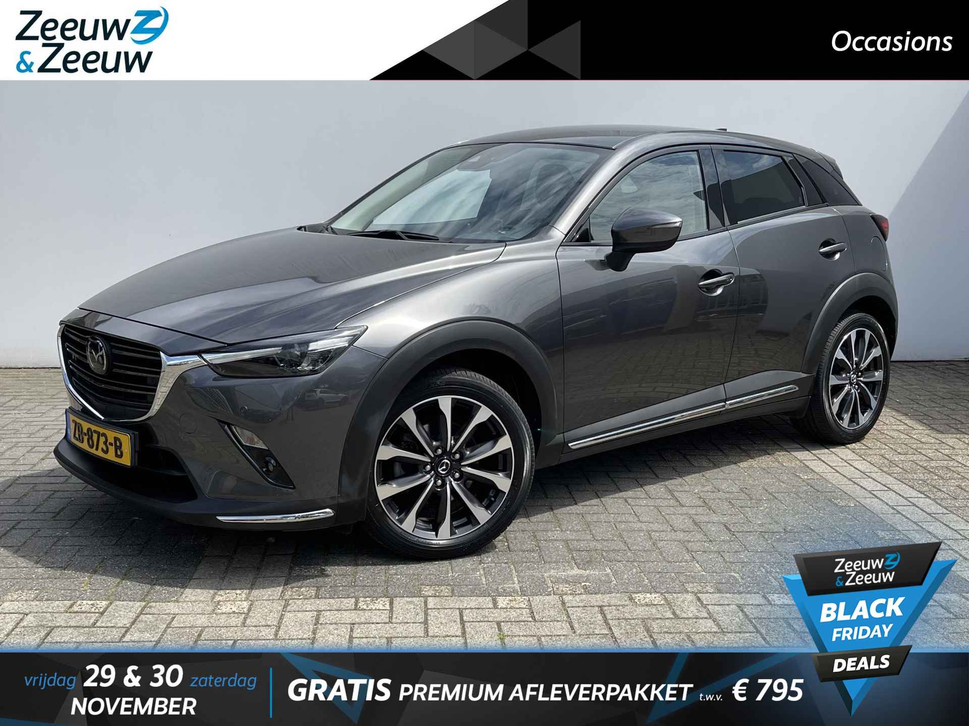 Mazda CX-3 BOVAG 40-Puntencheck