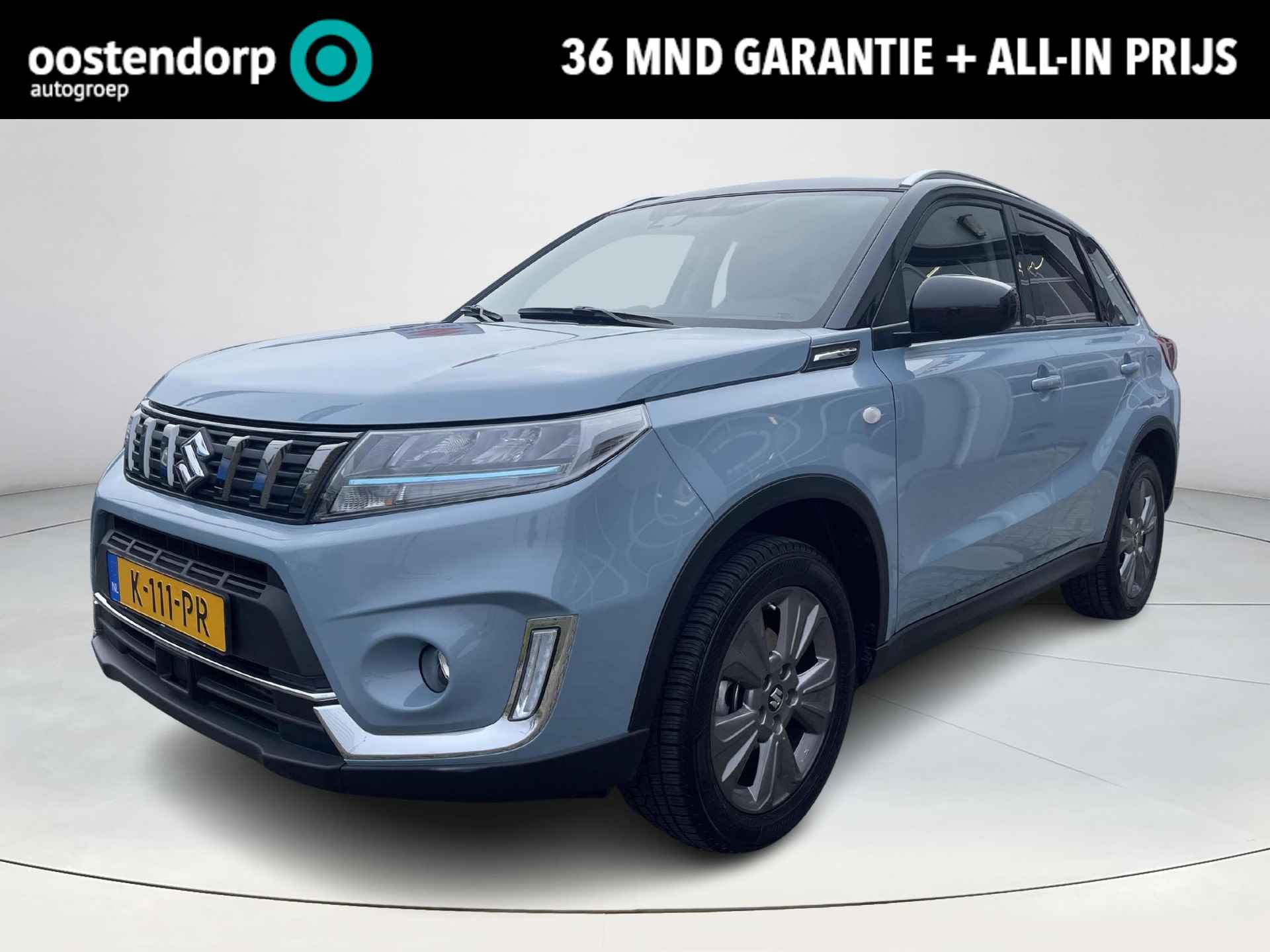 Suzuki Vitara BOVAG 40-Puntencheck