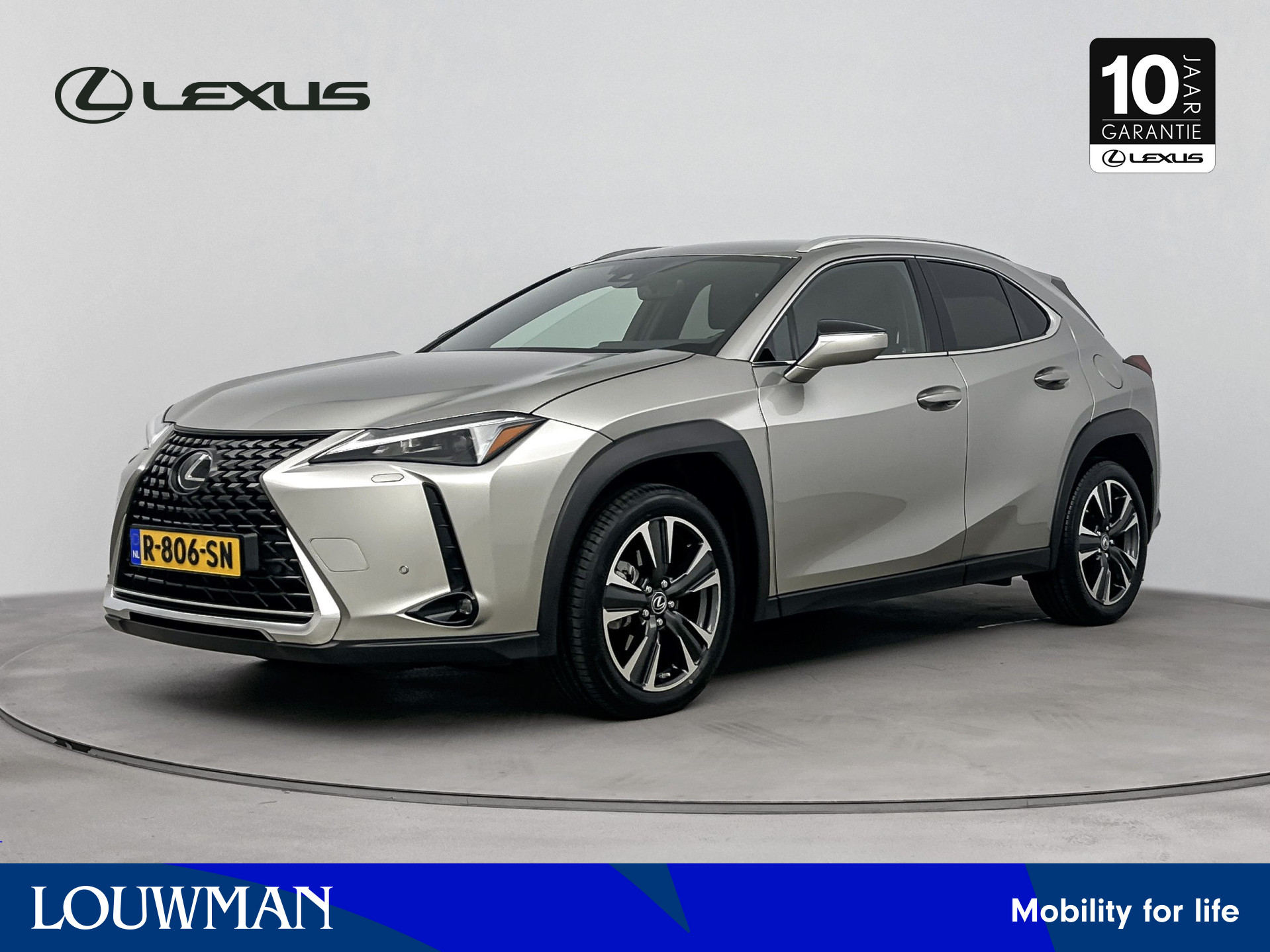 Lexus UX 250h Business Line | Blind Spot Monitor | Navigatie | Privacy Glas |