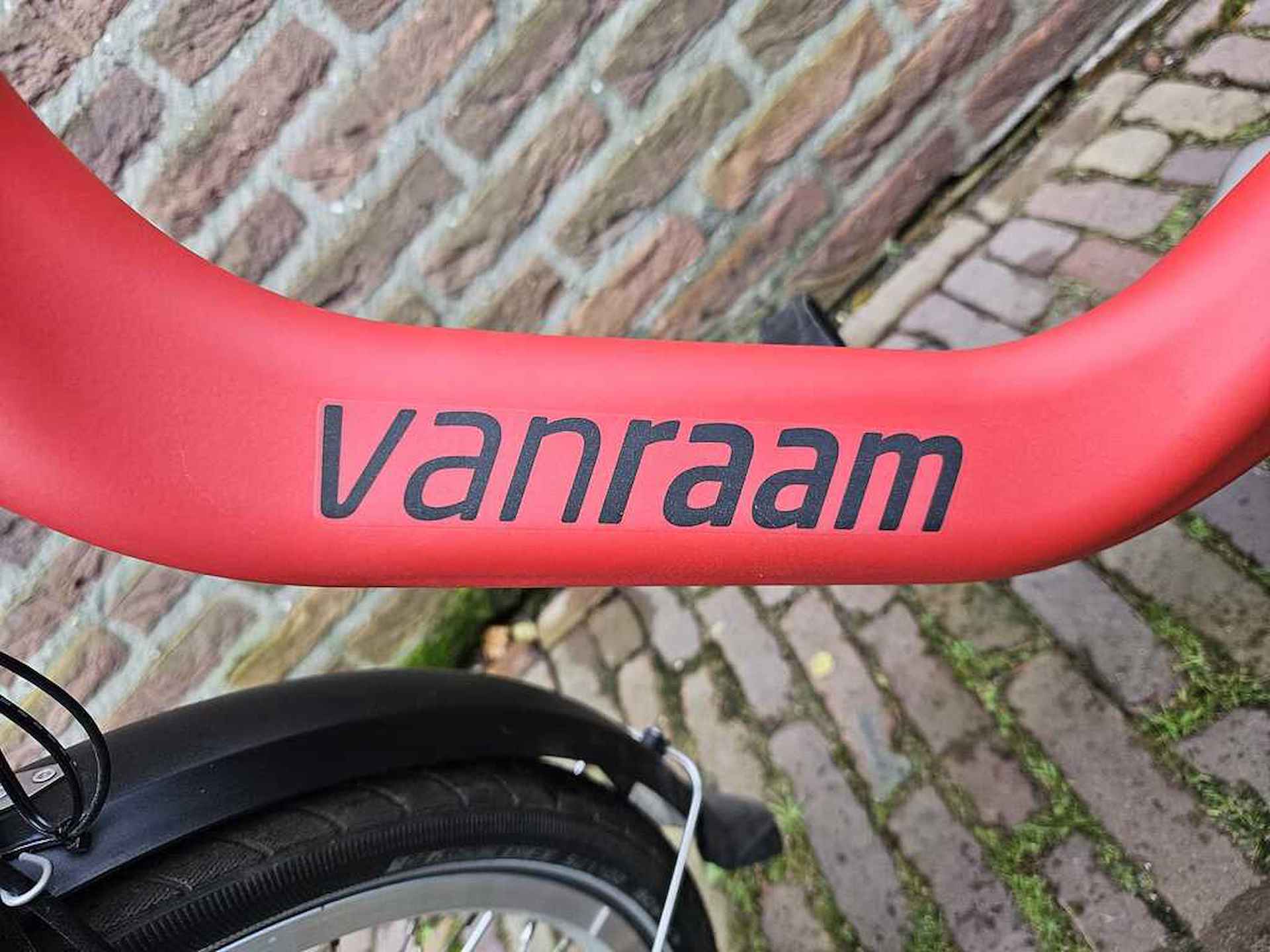 Van Raam Easyrider - 3/17