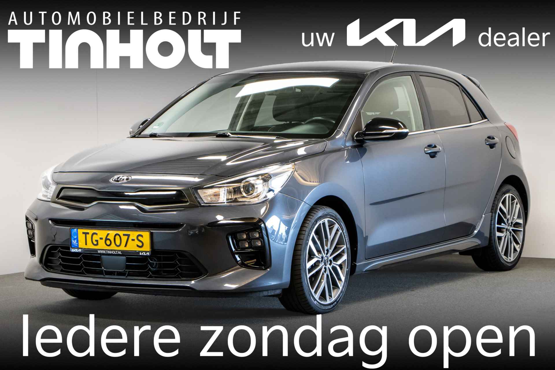 Kia Rio BOVAG 40-Puntencheck