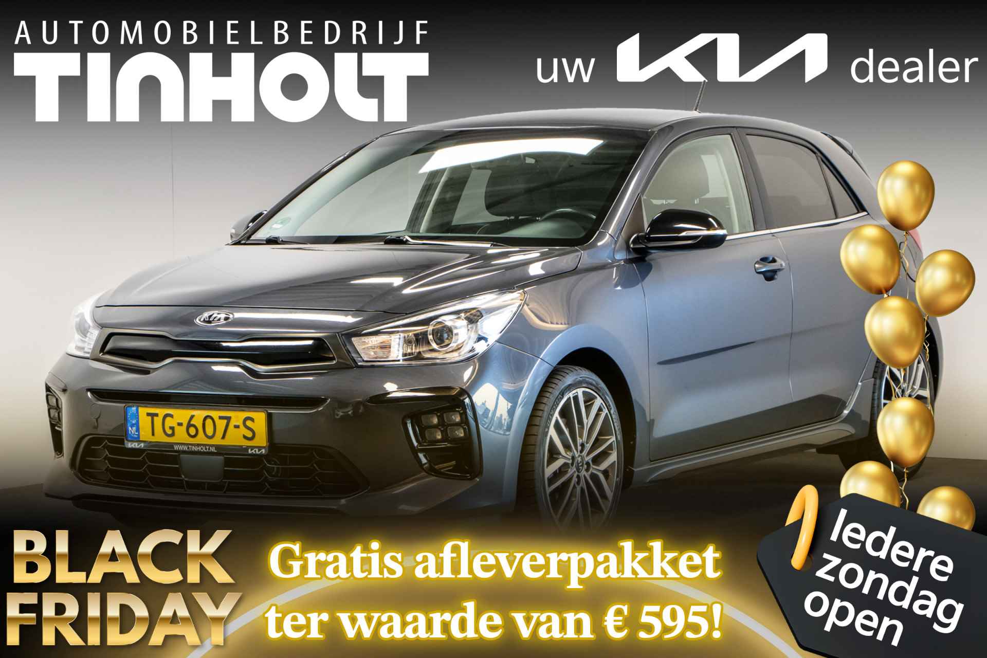 Kia Rio BOVAG 40-Puntencheck