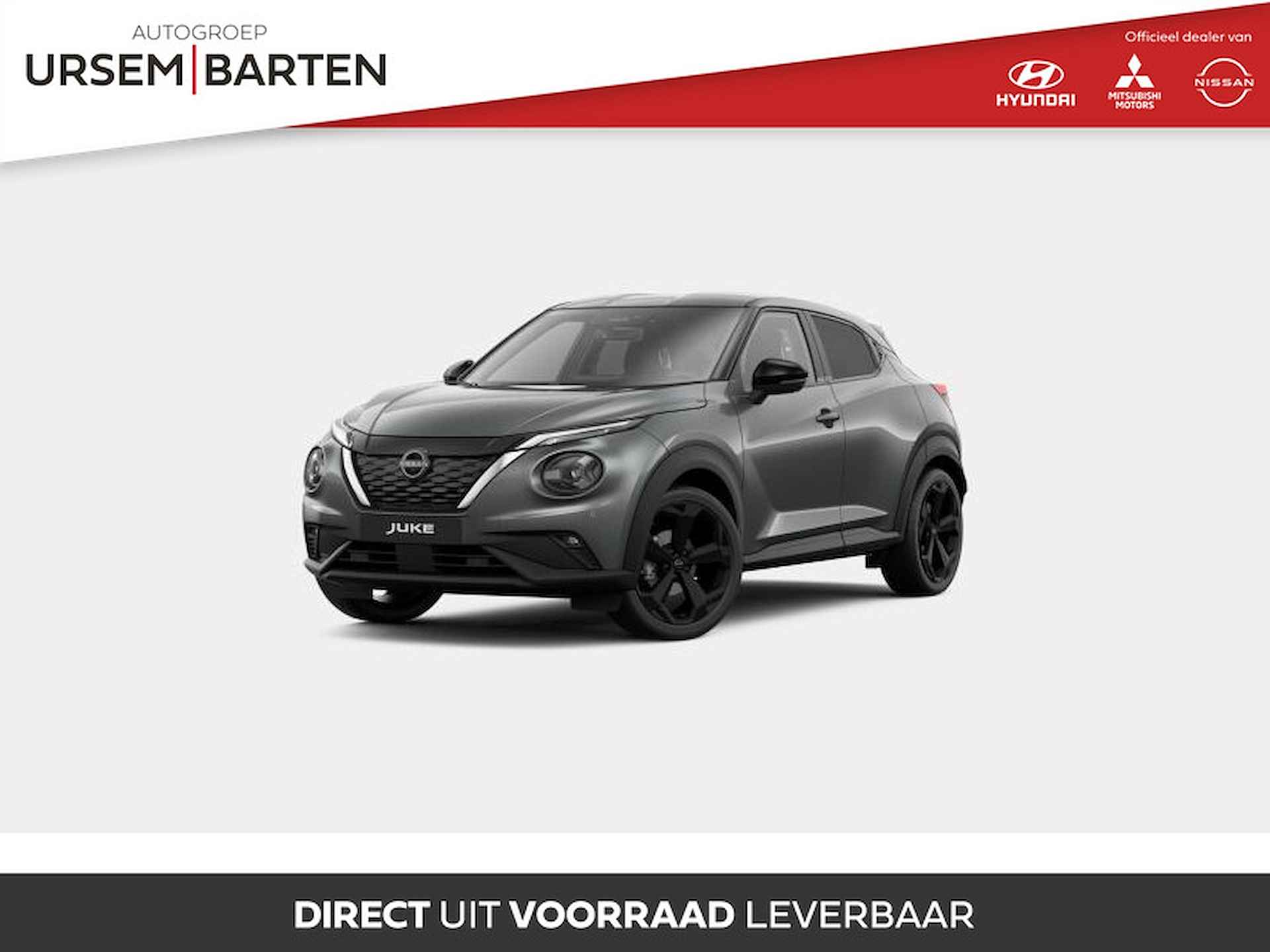 Nissan Juke BOVAG 40-Puntencheck