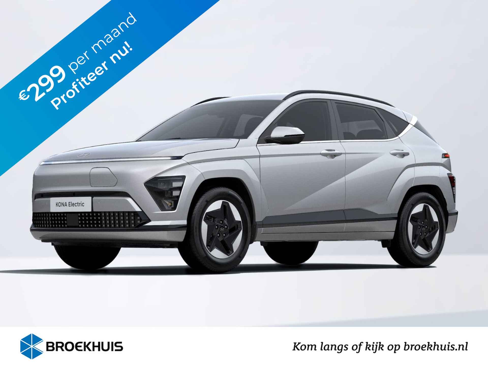 Hyundai Kona BOVAG 40-Puntencheck