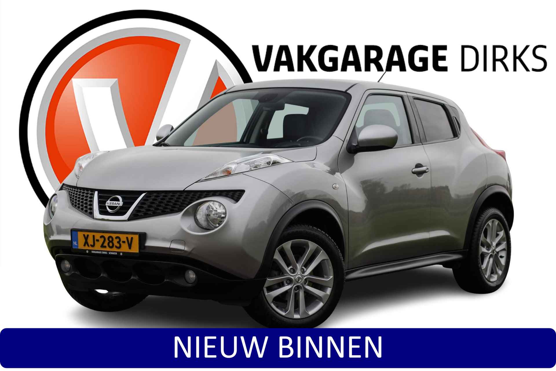 Nissan Juke BOVAG 40-Puntencheck