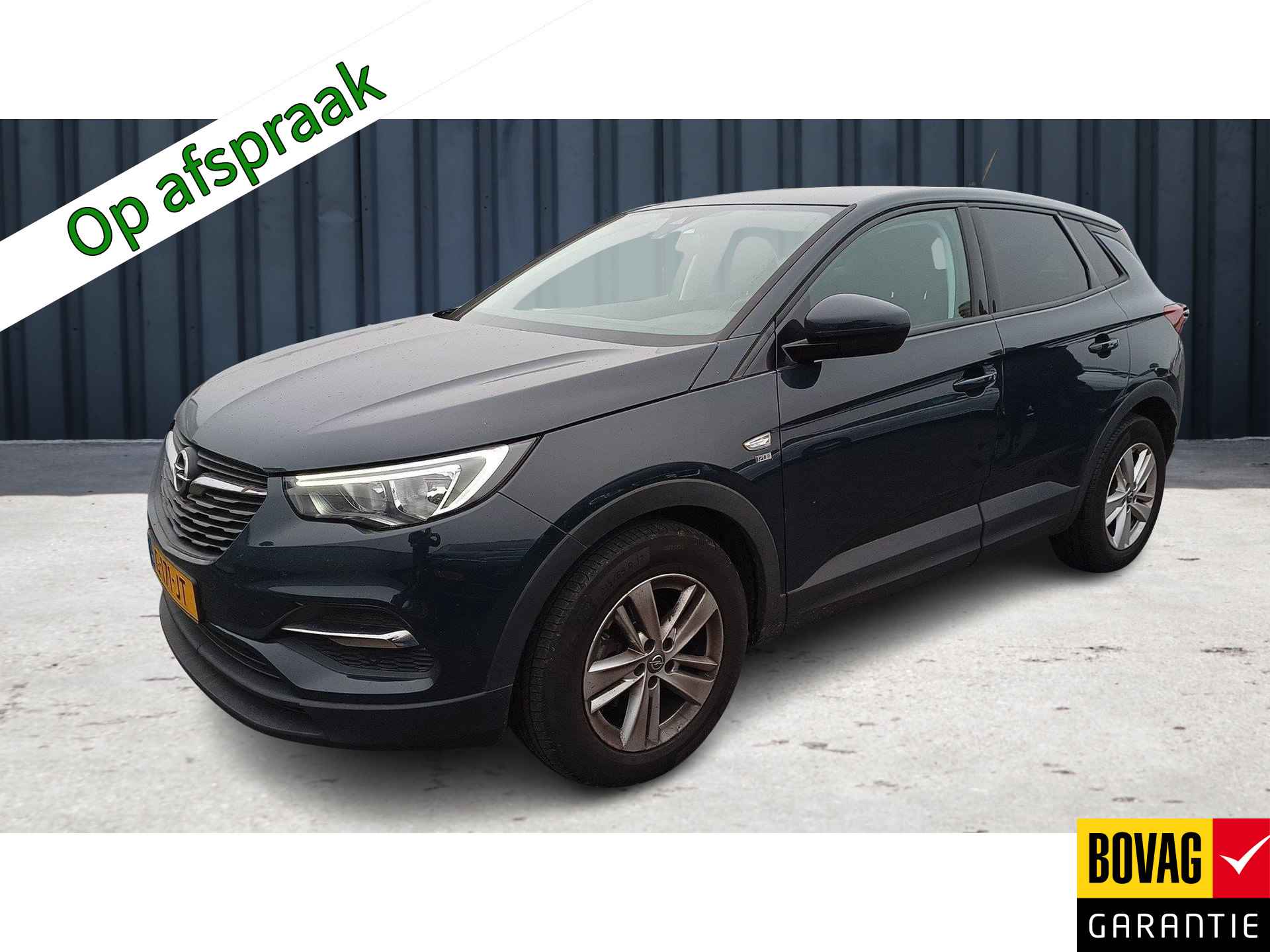 Opel Grandland X BOVAG 40-Puntencheck