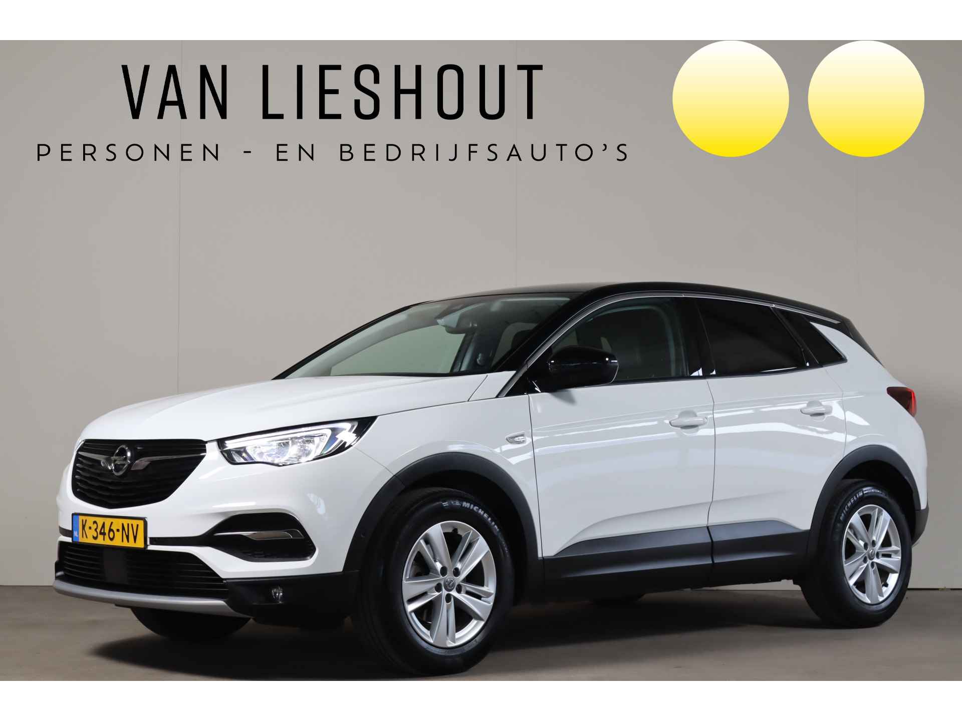 Opel Grandland X 1.2 Turbo Elegance - NL Auto Camera I Apple I Climate